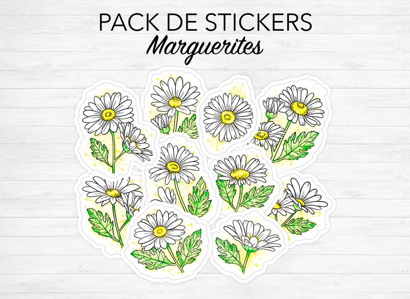 Pack de stickers "Marguerites" - 10 grands stickers fleuris (entre 5 et 8 cm) - Papier mat blanc - Bullet Journal & Planner - Journaling